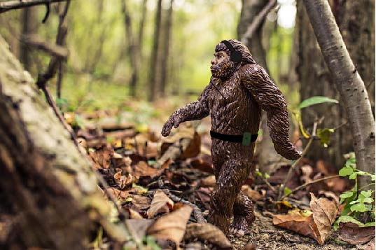 Action figure in the woods