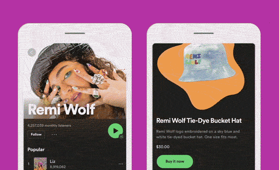 Spotify Meets Shopify animation